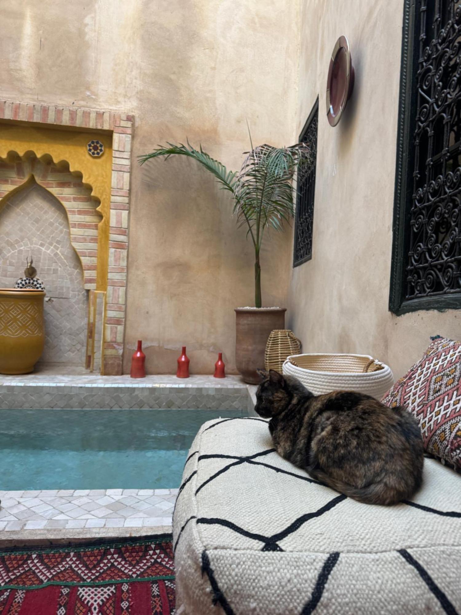 Riad Paquerette Μαρακές Εξωτερικό φωτογραφία